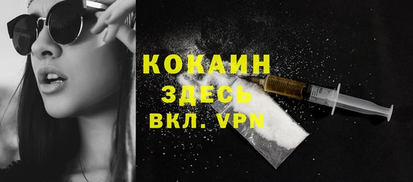 мдпв Карпинск