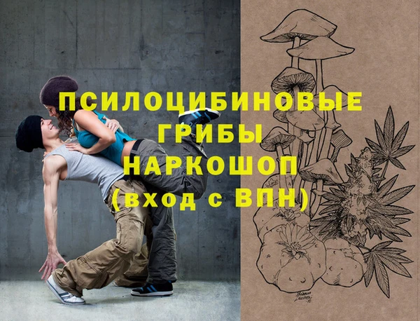 мдпв Карпинск