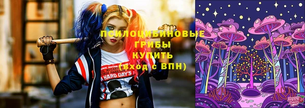 сатива Касимов