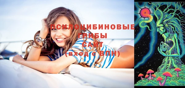 мдпв Карпинск