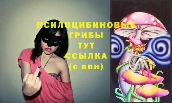 мдпв Карпинск