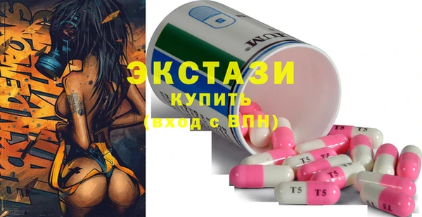 мдпв Карпинск