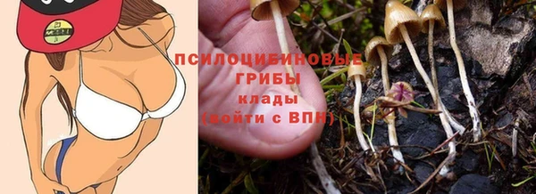 мдпв Карпинск