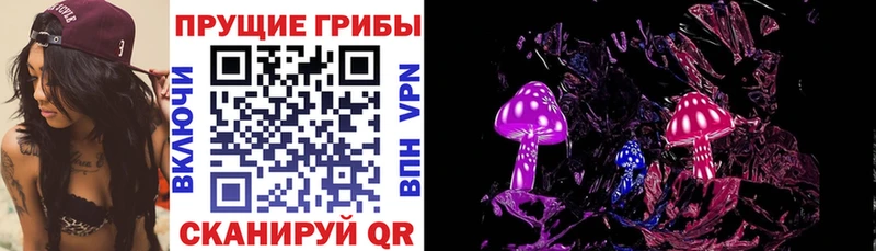 Купить  Боровск  Галлюциногенные грибы мухоморы 