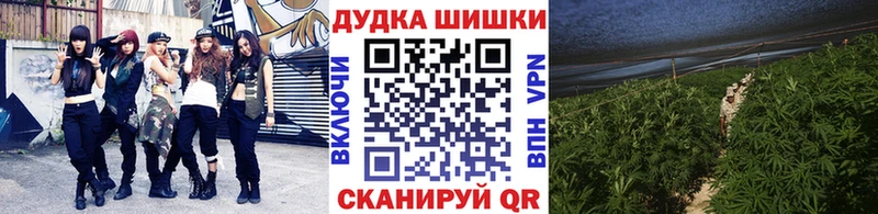 Конопля OG Kush  Купить где  Боровск 
